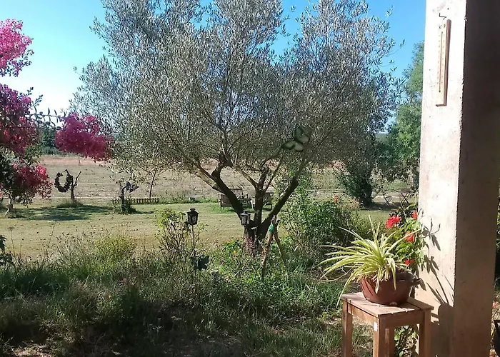 La Rivière Couette-café Damazan